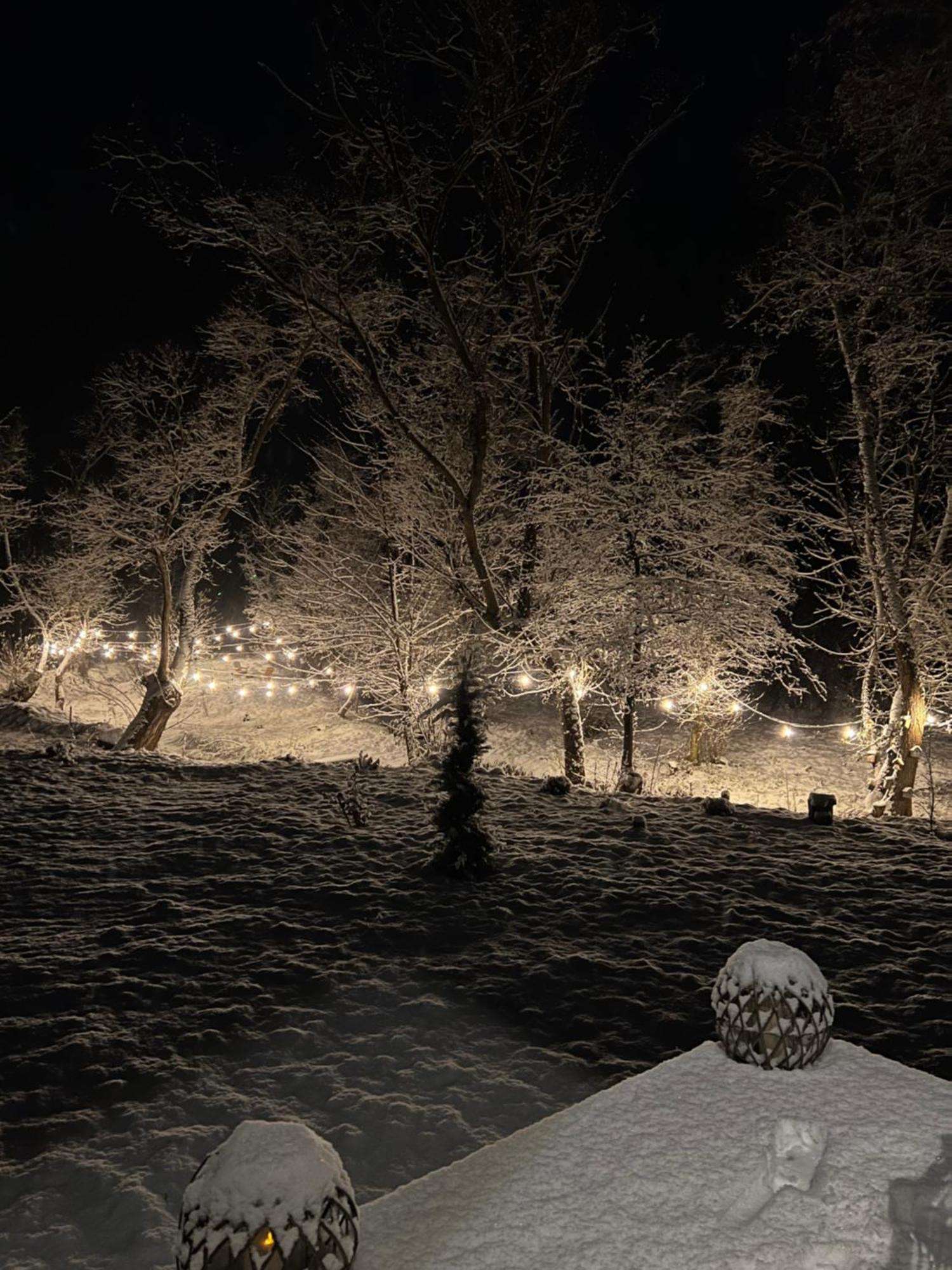 Porumbacu Garden Porumbacu de Sus Dış mekan fotoğraf