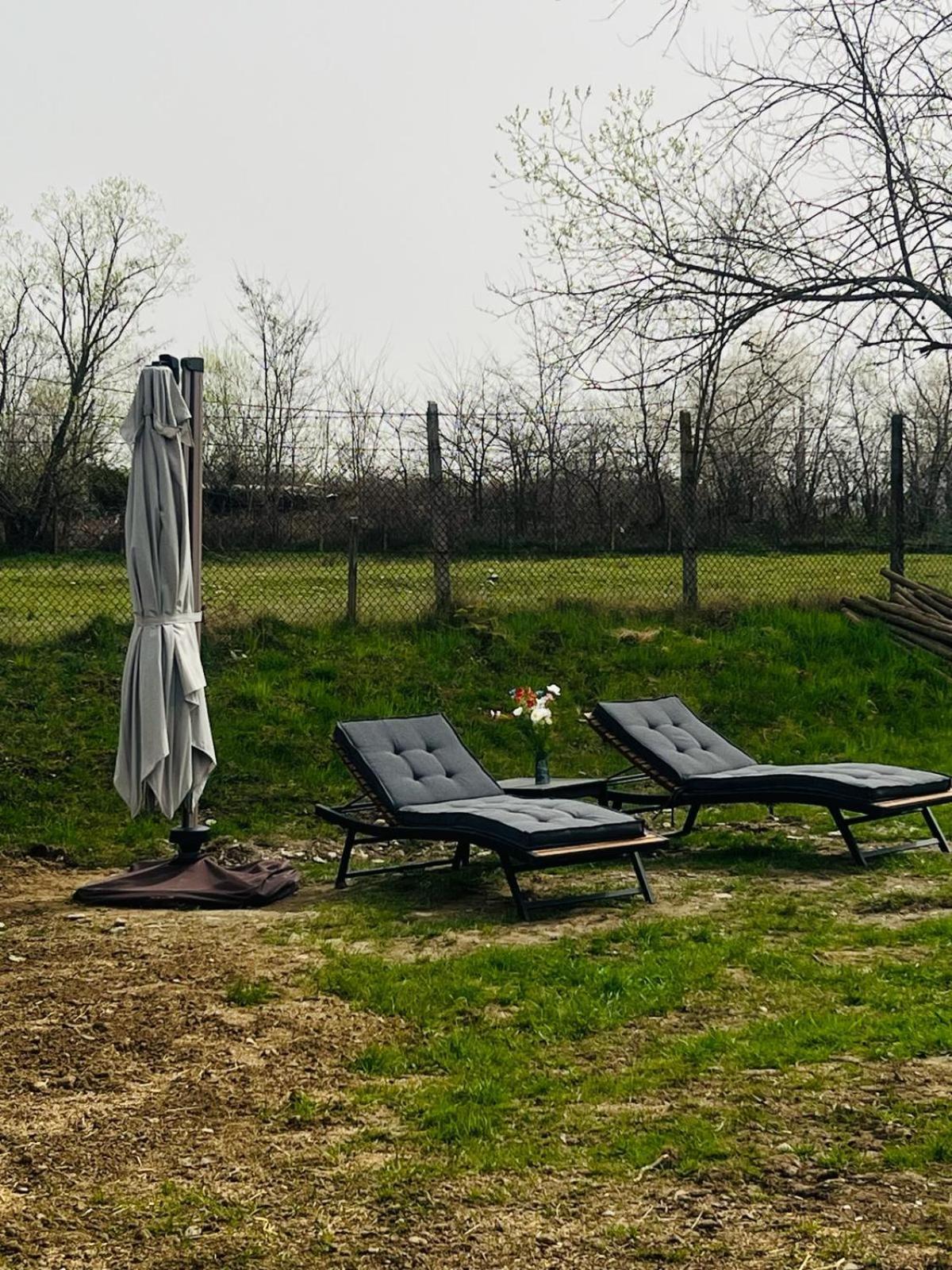Porumbacu Garden Porumbacu de Sus Dış mekan fotoğraf